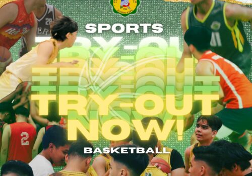 Calling All Paulinian Athletes!